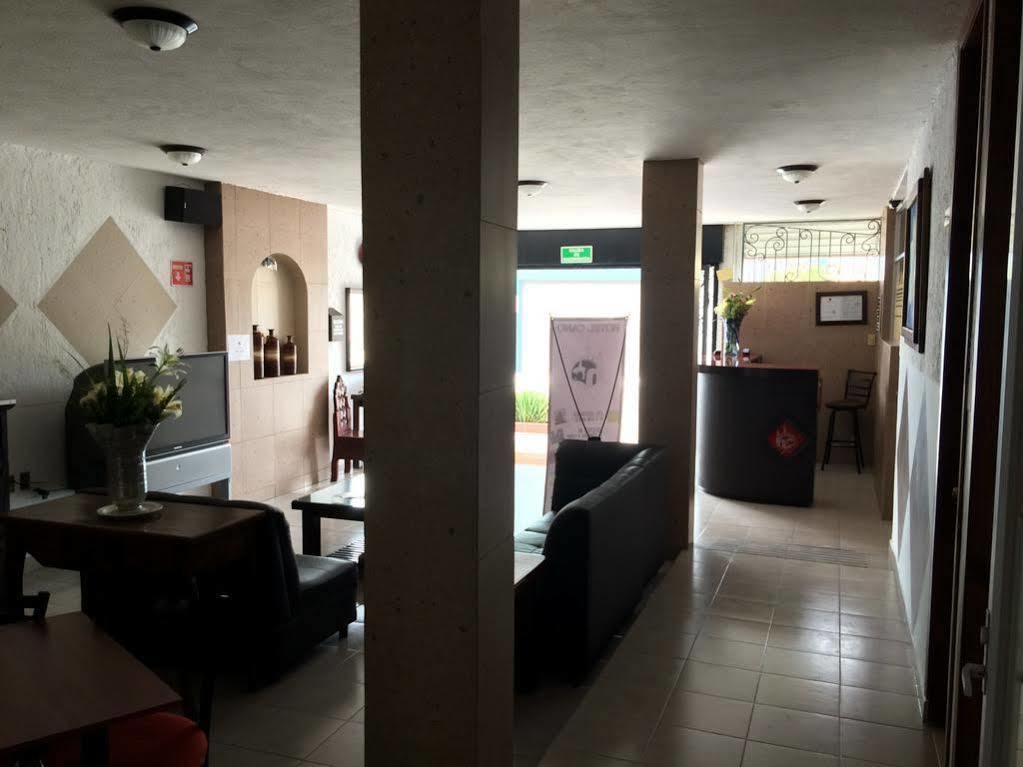 Hotel Hc Celaya  Exteriör bild